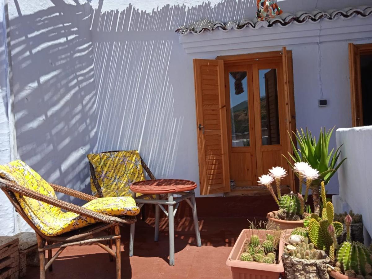 Vallparadis Pension Familiar" Firdaus" Chefchaouen Eksteriør bilde